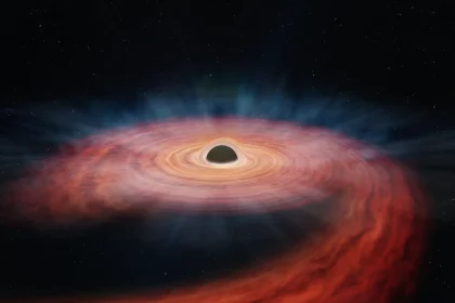 A Giant Star Annihilated By A Massive Black Hole