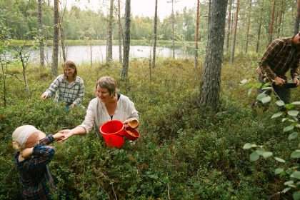 Find Berries, Herbs And Understandings In Sweden