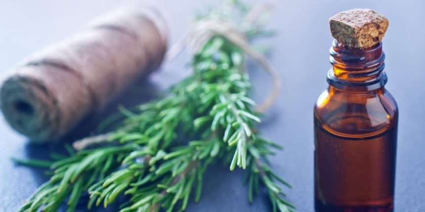 Find Out How Rosemary Oil Can Help Grow Long, Lustrous