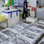 Fukushima: Japan's Prime Minister Promises Support For Fisheries Following China's