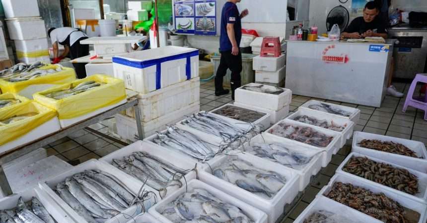 Fukushima: Japan's Prime Minister Promises Support For Fisheries Following China's