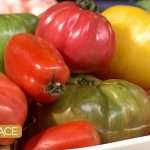 Gazpacho Recipe With Fresh Tomatoes
