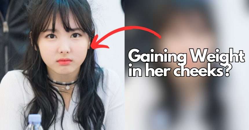 How Do Twice's Makeup Artists React When They Gain Weight?