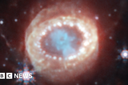 James Webb: Telescope Reveals New Details Of Famous Supernova