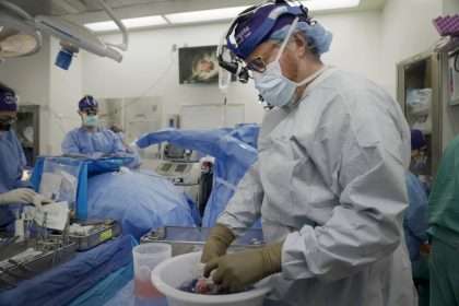 New York University Surgeons Claim Progress In Transplanting Pig Kidneys
