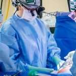 Pig Kidney Transplantation: Research Team Details New Advances, Marks Key