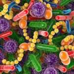 Scientists Believe They Have Discovered A Link Between Gut Bacteria