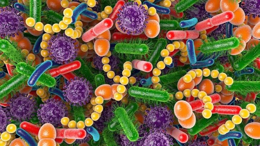 Scientists Believe They Have Discovered A Link Between Gut Bacteria