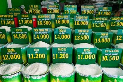 Soaring Rice Prices Raise Fears Of Food Inflation In Asia