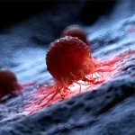 Yale Researchers Discover Potential New Treatment For Cancer