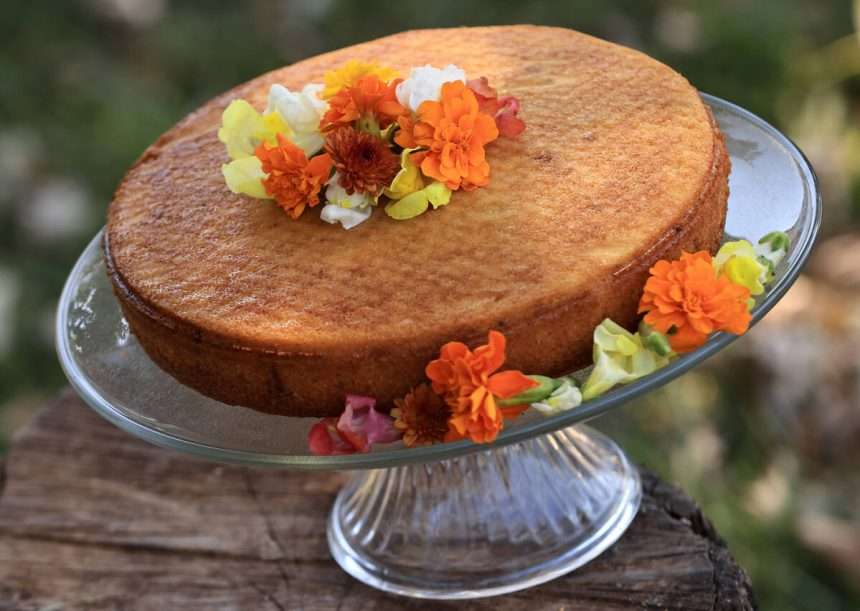 2023 Sonoma County Harvest Fair Winners Share Recipes And Secrets