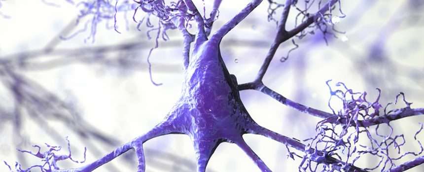 A Completely New Cause Of Alzheimer's Disease Is Discovered In