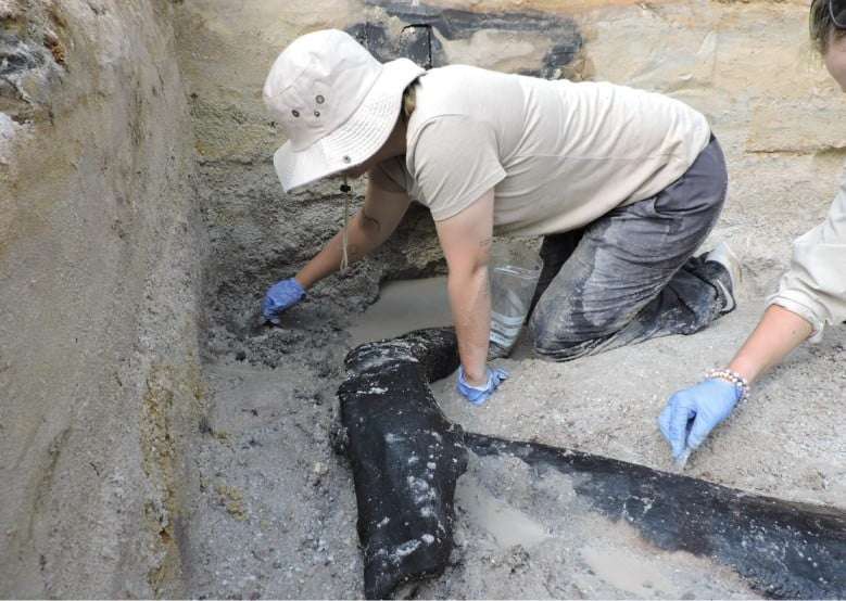Archaeologists Discover A 500,000 Year Old Wooden Structure That Was Not Built