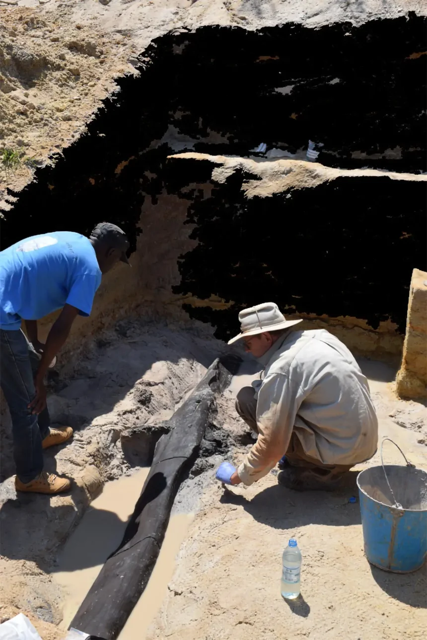 Archaeologists Discover The World's Oldest Wooden Structure
