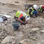 Archaeologists Working On Cork's New Motorway Route Uncover Remains Of