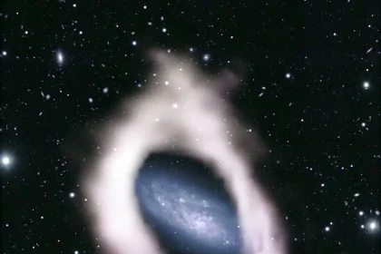 Are Polar Galaxies Really That Rare After All?