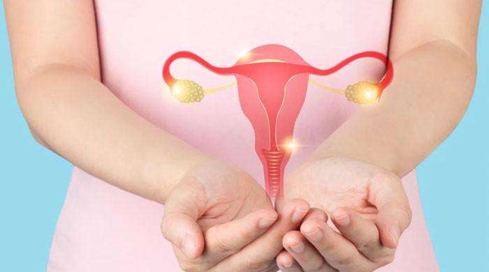 Artificial Intelligence Enables Early Diagnosis Of Pcos, Claims Research