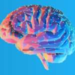 Brain Imaging Study Finds Obesity Is Associated With Increased Neural