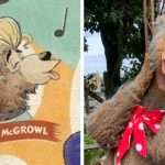 Country Bear's Name Will Be Changed As The Attraction Is
