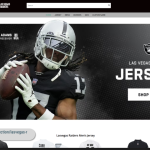 Cybersecurity Firm Urges Caution When Searching For Raiders Tickets And