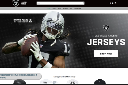 Cybersecurity Firm Urges Caution When Searching For Raiders Tickets And