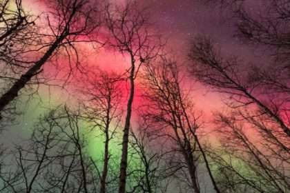 'holy Grail' Of Aurora Borealis Dyes Skies Blood Red As