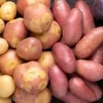 How To Choose The Best Potatoes For Your Potato Salad