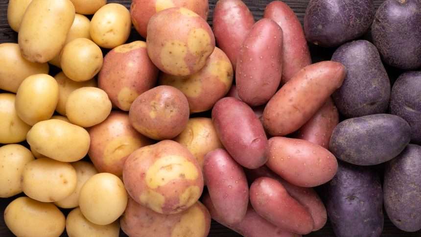 How To Choose The Best Potatoes For Your Potato Salad
