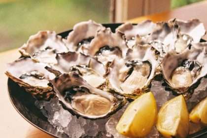 Initial Addition: Becoming An Oyster Lover Is Shackle