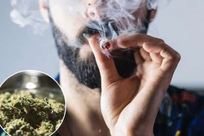 Marijuana Users Have Higher Levels Of Heavy Metals In Their