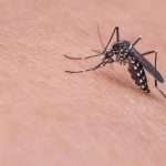 New Jersey Issues Warning After Residents Die From West Nile