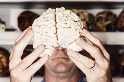Our Big Brains Have Shrunk. Scientists May Know Why.