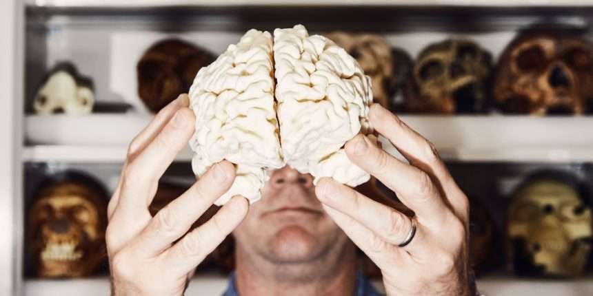 Our Big Brains Have Shrunk. Scientists May Know Why.