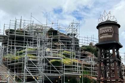 Photo: Fresh Rockwork Painted During Construction Of Tiana's Bayou Adventure