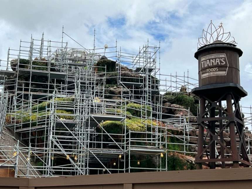 Photo: Fresh Rockwork Painted During Construction Of Tiana's Bayou Adventure