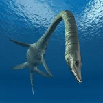 Plesiosaur Gained New Vertebrae To Double Neck Length
