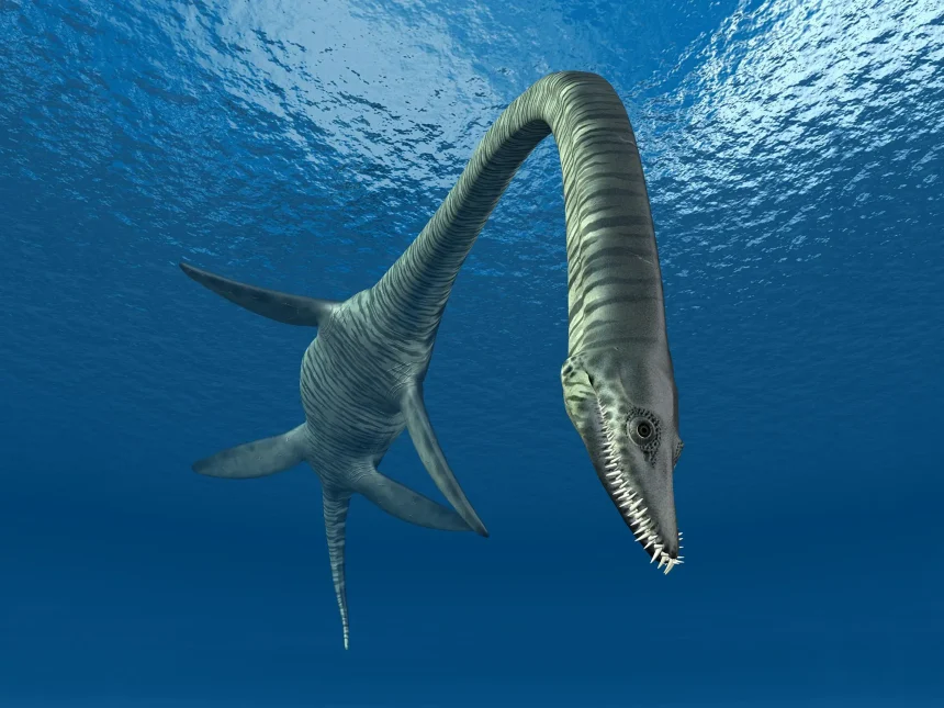 Plesiosaur Gained New Vertebrae To Double Neck Length