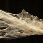 Spider Silk Is Spun For The First Time By Genetically