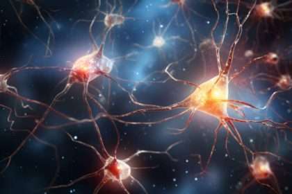 The Mystery Behind Neuron Death In Alzheimer's Disease Is Deciphered