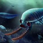 Third 'fossil Monster' – 520 Million Year Old Fossils Reveal