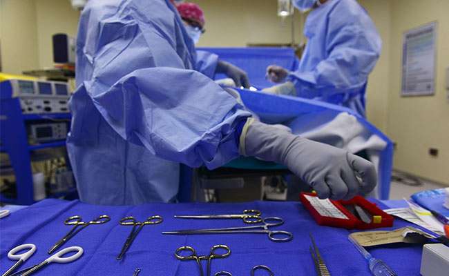 Us Surgeon Transplants Pig Kidney Into Brain Dead Human In 61 Day