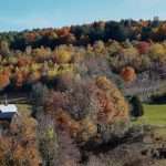 Vermont Town Closes Road To Farm After 'disrespect' Of Leaf
