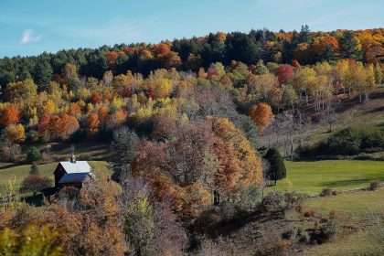 Vermont Town Closes Road To Farm After 'disrespect' Of Leaf