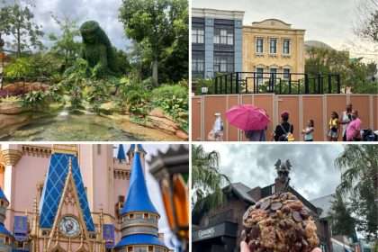 Wdwnt Daily Recap For August 31, 2023