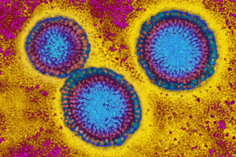 Who Says Influenza Vaccines Should Eliminate Strains Wiped Out By