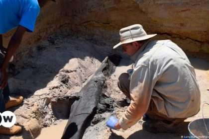 World's Oldest Wooden Building Discovered In Zambia – Dw –