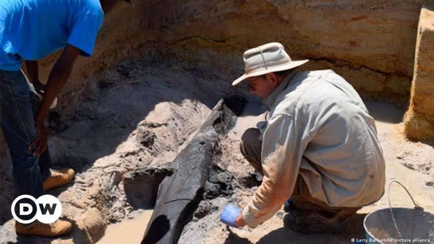 World's Oldest Wooden Building Discovered In Zambia – Dw –