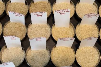 'artificial' Rice Shortage Plunges Global Rice Market Into Crisis