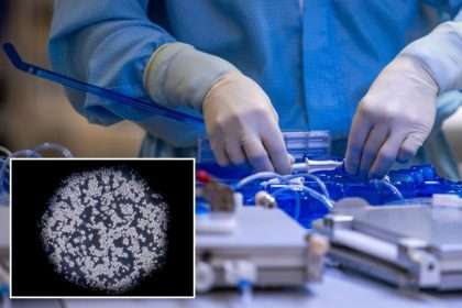 Breakthrough: Newly Discovered 'kill Switch' Could Cause Cancer Cell Death