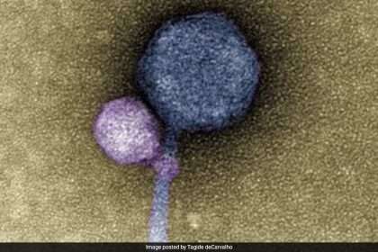 In Shocking Discovery, Scientists Discover Viruses That Reproduce With Each